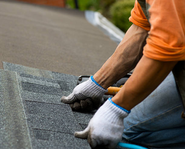 Best Roof Gutter Cleaning  in Chocowinity, NC