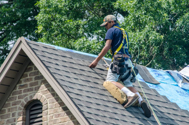 Quick and Trustworthy Emergency Roof Repair Services in Chocowinity, NC